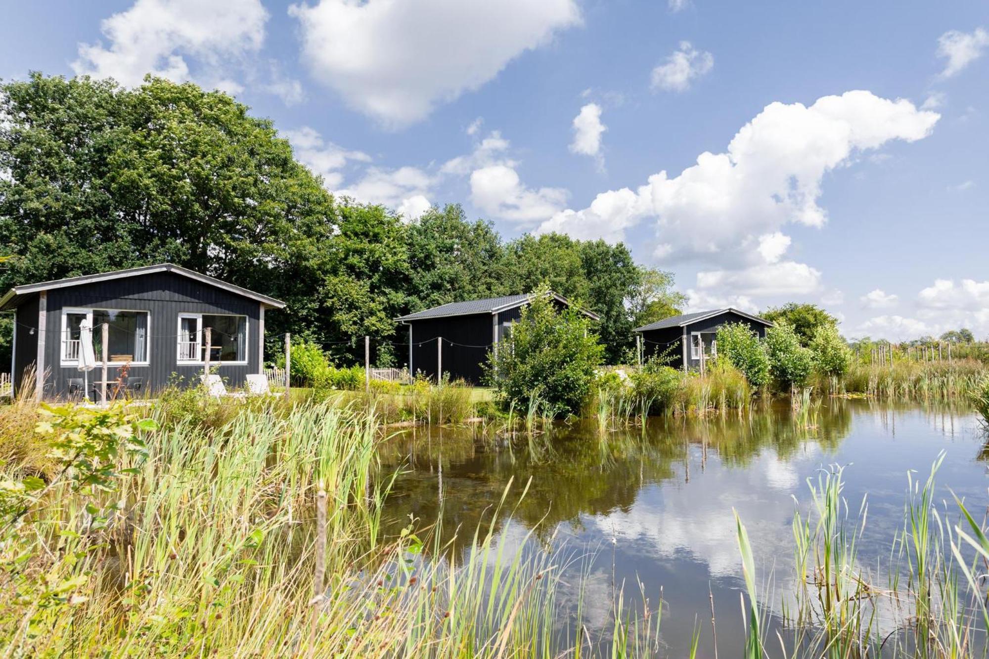 Vakantiepark De Kremmer Gasselte Экстерьер фото